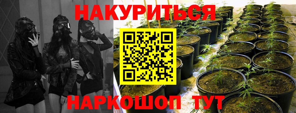 Бошки Шишки гибрид Лабытнанги